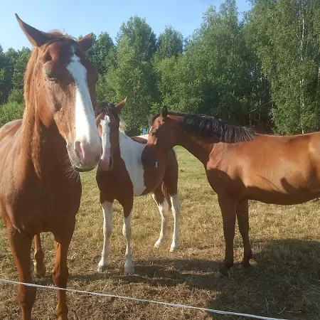 Feriehus Dziki Zakatek Piskornia Dom Z Sauna Balia Jacuzzi