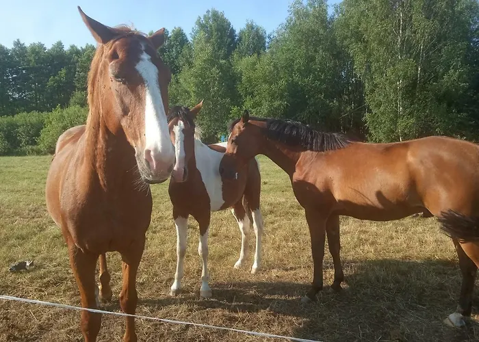 Holiday home Dziki Zakatek Piskornia Dom Z Sauna Balia Jacuzzi